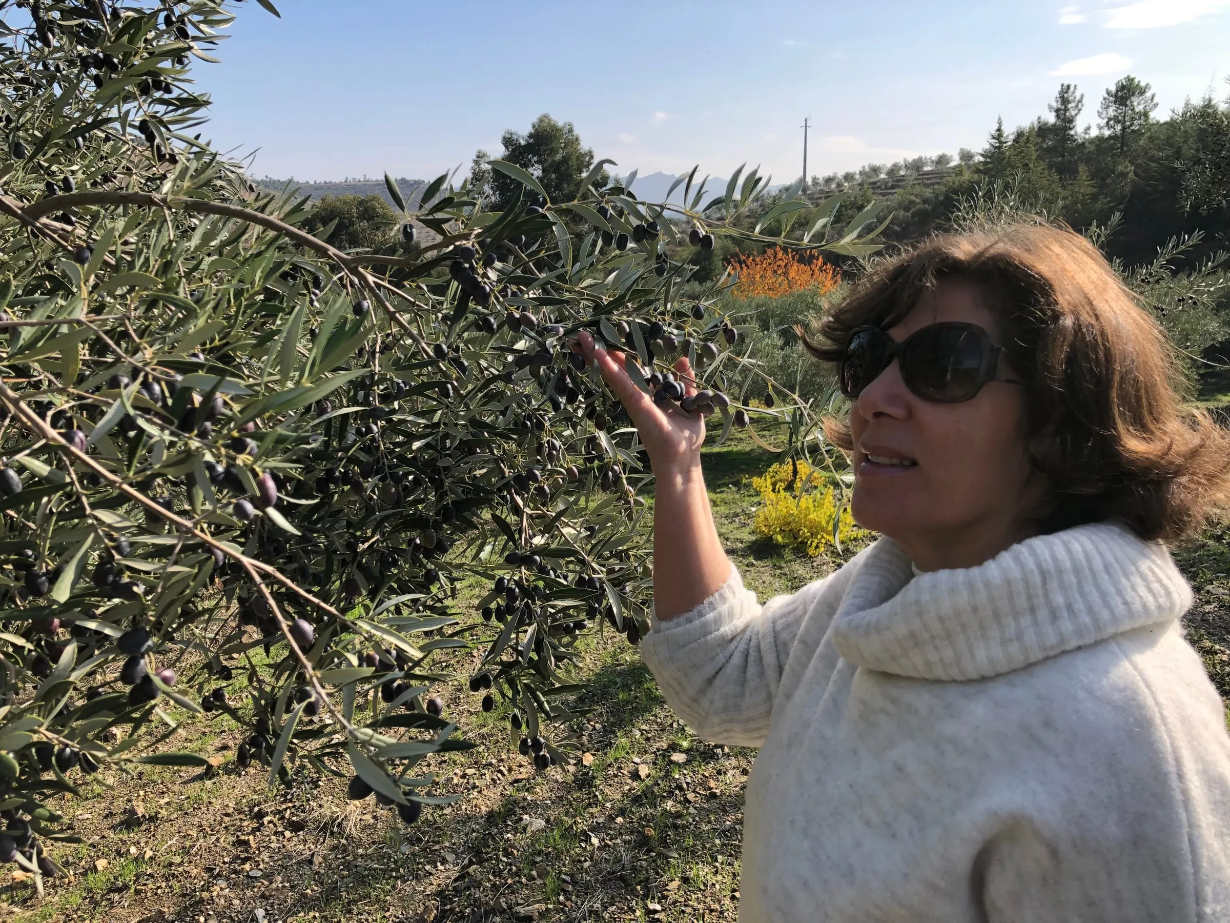 Fernanda Araújo in de olijfgaard van MURO